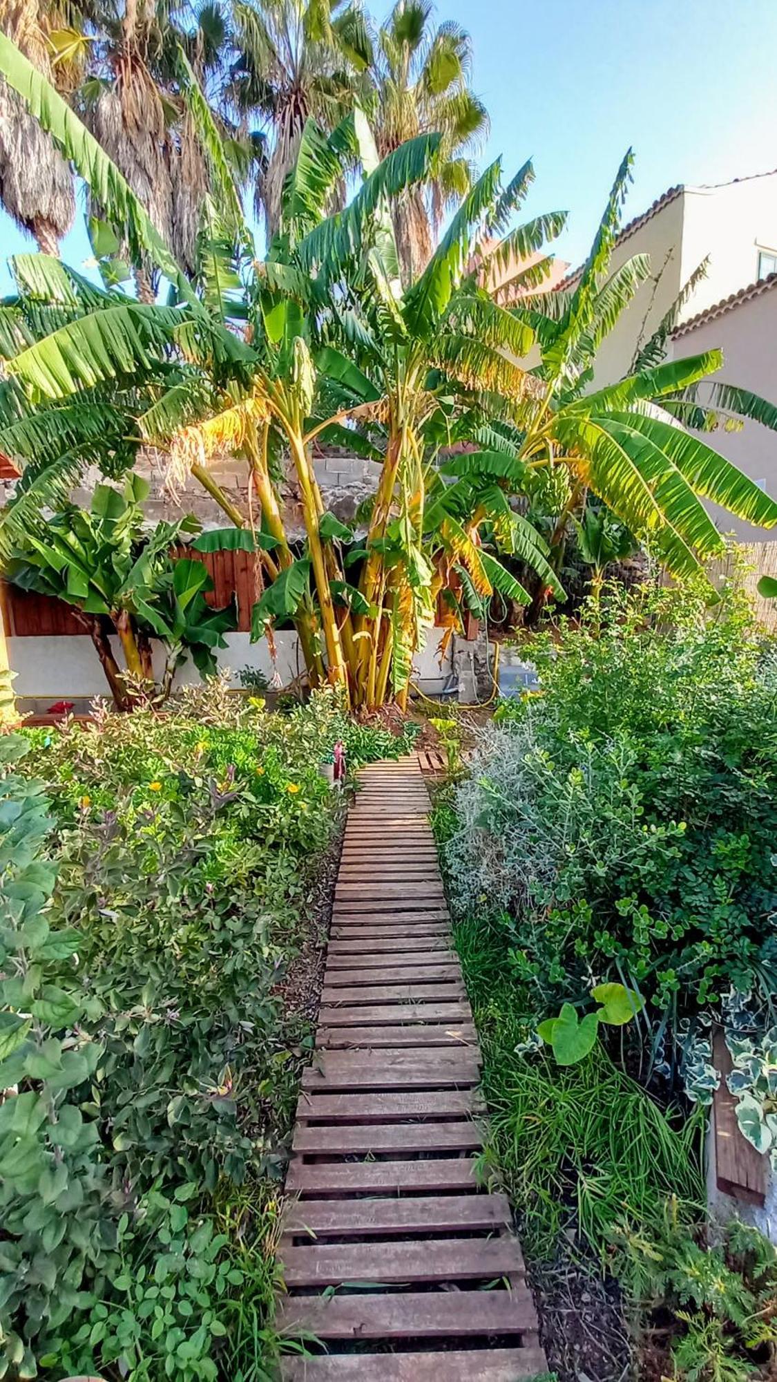 Finca Don Pedro Santa Cruz de Tenerife Exterior photo